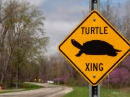 FCC abolishes gigabit speed goal, suggesting it is unfair to slower technologies fcc-abolishes-gigabit-speed-goal,-suggesting-it-is-unfair-to-slower-technologies