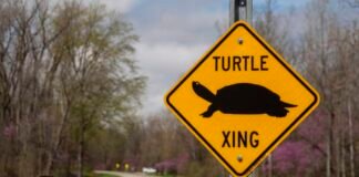 fcc-abolishes-gigabit-speed-goal,-suggesting-it-is-unfair-to-slower-technologies