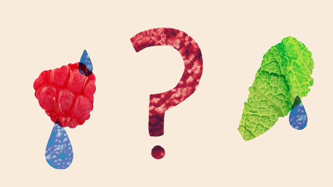 who’s-most-at-risk-in-the-cyclospora-outbreak?-the-farmworkers-on-the-front-lines.