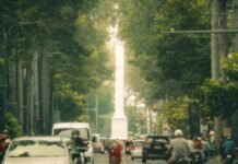 ‘Tree of justice’ protest: how Vietnamese youth are mobilising online to hold the powerful to account ‘tree-of-justice’-protest:-how-vietnamese-youth-are-mobilising-online-to-hold-the-powerful-to-account