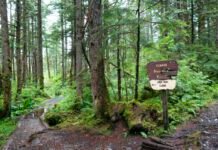dismantling-the-roadless-rule-threatens-to-disrupt-wildlife-and-water-in-us
