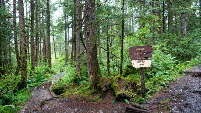 dismantling-the-roadless-rule-threatens-to-disrupt-wildlife-and-water-in-us