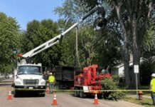 Tree Worker Killed in Horrific Accident as Coworker ‘Played’ With Heavy Machinery tree-worker-killed-in-horrific-accident-as-coworker-‘played’-with-heavy-machinery