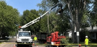 tree-worker-killed-in-horrific-accident-as-coworker-‘played’-with-heavy-machinery