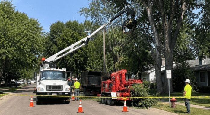 tree-worker-killed-in-horrific-accident-as-coworker-‘played’-with-heavy-machinery