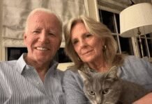 Jill Biden Reveals What Joe’s Latest Cancer Scan Showed jill-biden-reveals-what-joe’s-latest-cancer-scan-showed