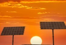 vatican-plans-solar-and-agriculture-plant-to-cover-its-electricity-needs