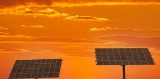 vatican-plans-solar-and-agriculture-plant-to-cover-its-electricity-needs