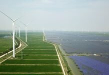 trump-tried-to-curb-clean-energy-it’s-booming-anyway.