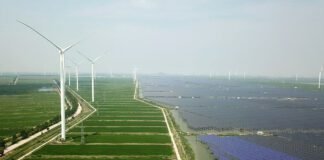 trump-tried-to-curb-clean-energy-it’s-booming-anyway.