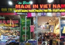 us-vietnam-strategic-partnership-faces-intellectual-property-test