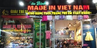 us-vietnam-strategic-partnership-faces-intellectual-property-test