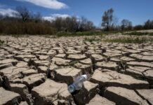 EU Steps Up Climate Adaptation as Weather Hits Crops eu-steps-up-climate-adaptation-as-weather-hits-crops