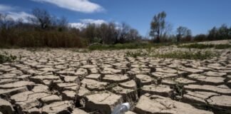 eu-steps-up-climate-adaptation-as-weather-hits-crops