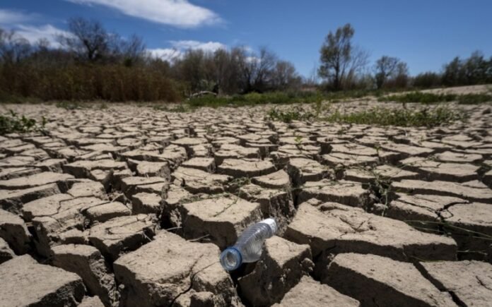 eu-steps-up-climate-adaptation-as-weather-hits-crops