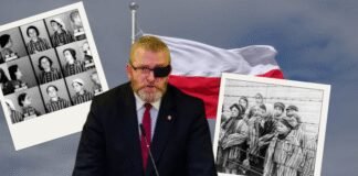 mep-charged-in-poland-after-calling-auschwitz-evidence-‘fake’
