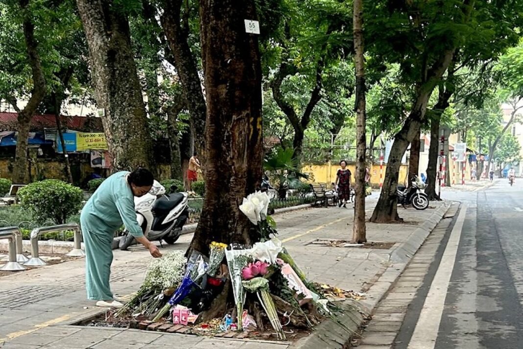 vietnam’s-‘justice-tree’-tests-the-limits-of-online-dissent