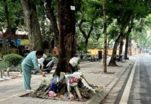 vietnam’s-‘justice-tree’-tests-the-limits-of-online-dissent