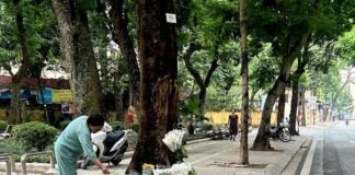 vietnam’s-‘justice-tree’-tests-the-limits-of-online-dissent