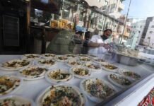 Culinary larceny: Why the true history of Palestine belongs to the soil, not the Israeli kitchen culinary-larceny:-why-the-true-history-of-palestine-belongs-to-the-soil,-not-the-israeli-kitchen
