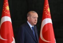 Türkiye mobilised all resources after passenger ship capsize off Northern Cyprus: President Erdogan turkiye-mobilised-all-resources-after-passenger-ship-capsize-off-northern-cyprus:-president-erdogan