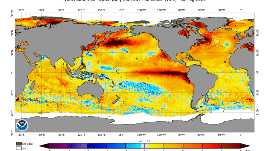 el-nino-is-now-stronger-than-at-any-point-in-the-last-1,000-years,-study-finds