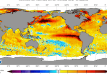 El Niño is now stronger than at any point in the last 1,000 years, study finds el-nino-is-now-stronger-than-at-any-point-in-the-last-1,000-years,-study-finds