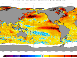 el-nino-is-now-stronger-than-at-any-point-in-the-last-1,000-years,-study-finds