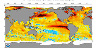 el-nino-is-now-stronger-than-at-any-point-in-the-last-1,000-years,-study-finds