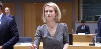11-eu-countries-demand-end-to-‘obstructive’-vetoes-on-foreign-policy