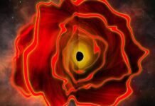 August research roundup: 7 cool science stories we almost missed august-research-roundup:-7-cool-science-stories-we-almost-missed
