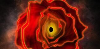august-research-roundup:-7-cool-science-stories-we-almost-missed