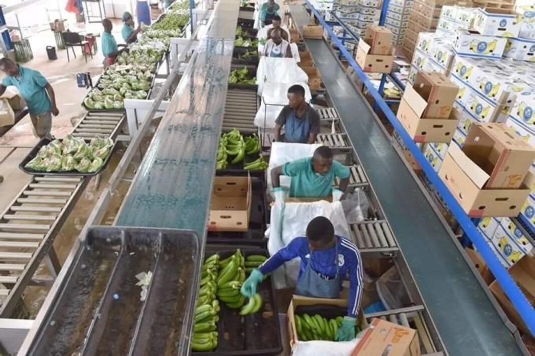 while-helping-african-farmers,-china’s-not-funding-food-processing