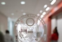 ice-is-paying-a-controversial-ai-firm-to-hide-the-identities-of-agents