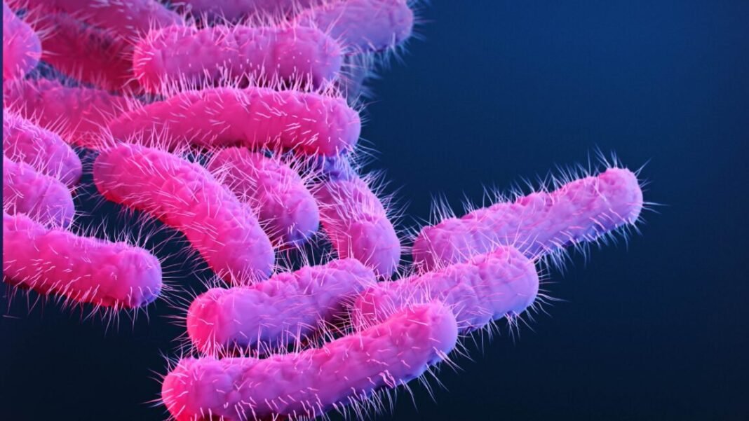 150-research-primates-got-diarrhea,-flooding-lab-with-priceless-vaccine-data
