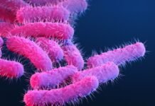 150-research-primates-got-diarrhea,-flooding-lab-with-priceless-vaccine-data