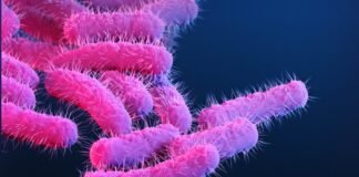 150-research-primates-got-diarrhea,-flooding-lab-with-priceless-vaccine-data