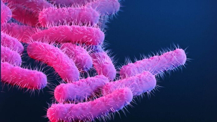 150-research-primates-got-diarrhea,-flooding-lab-with-priceless-vaccine-data