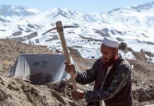 taliban-mining-pitch-to-us-is-a-political-risk-time-bomb