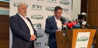 ‘i-am-going-to-an-arab-party.-they-are-not-coming-to-me’:-segalovitz-explains-ra’am-move-  
