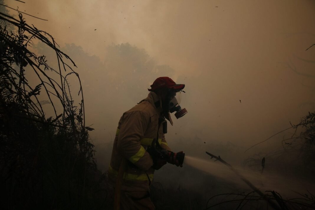 the-deliberate-crime-of-indonesia’s-toxic-haze