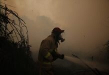 the-deliberate-crime-of-indonesia’s-toxic-haze