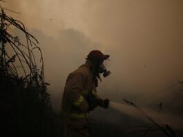 The deliberate crime of Indonesia’s toxic haze the-deliberate-crime-of-indonesia’s-toxic-haze