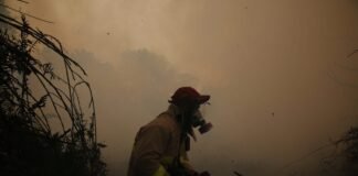 the-deliberate-crime-of-indonesia’s-toxic-haze