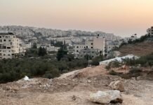 uk,-france,-canada-move-to-ban-imports-from-israeli-settlements