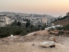 uk,-france,-canada-move-to-ban-imports-from-israeli-settlements