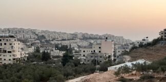 uk,-france,-canada-move-to-ban-imports-from-israeli-settlements