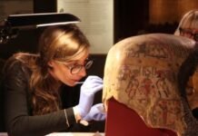 scientists-unlock-secrets-of-ancient-egyptian-materials-with-proteomics