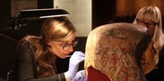 scientists-unlock-secrets-of-ancient-egyptian-materials-with-proteomics