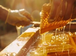 Honey’s Health Benefits: Why Israelis May Want To Eat More Honey This Rosh Hashana honey’s-health-benefits:-why-israelis-may-want-to-eat-more-honey-this-rosh-hashana